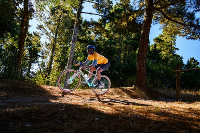 Marin Gestalt X - MetroCycle