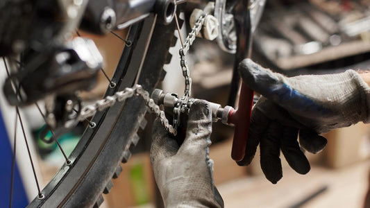 Seasonal / Advanced Tune-up - MetroCycle