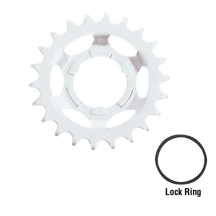 Shimano single 16T silver cog for 3S-N bike drivetrain, close-up of the Shimano 3S-N gear cog on a bicycle.