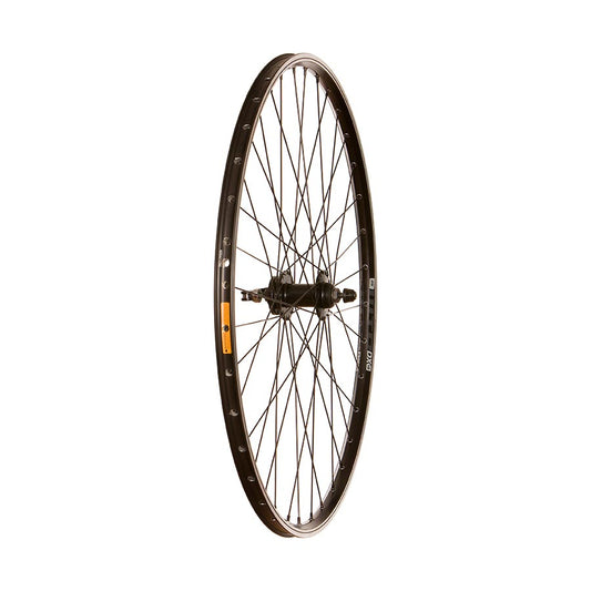 Wheel Shop, WTB DX18, Wheel, Front, 700C / 622, Holes: 36, QR, 100mm, Rim and Disc IS 6-bolt