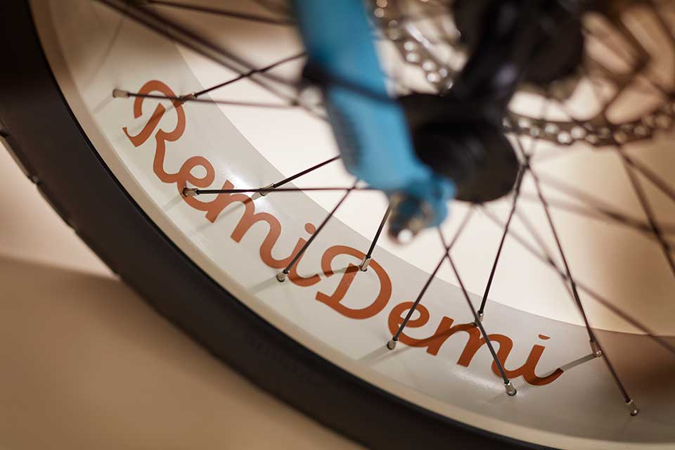 Benno Bike RemiDemi XL 9D Performance 400W EVO 3 Easy On - MetroCycle