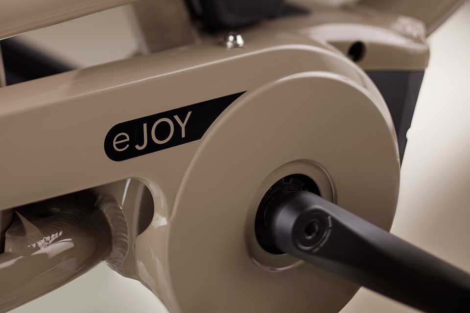 Benno Bike Ejoy 5i Performance EVO 1 Easy On - MetroCycle