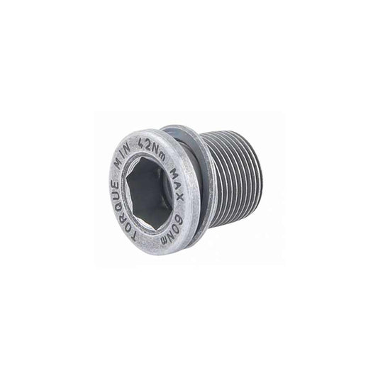 Campagnolo, Ultra Torque Crank bolt, For steel UT spindles