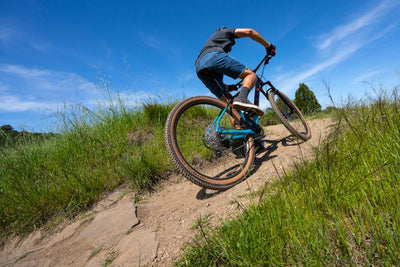 Marin Bobcat Trail 5 - MetroCycle