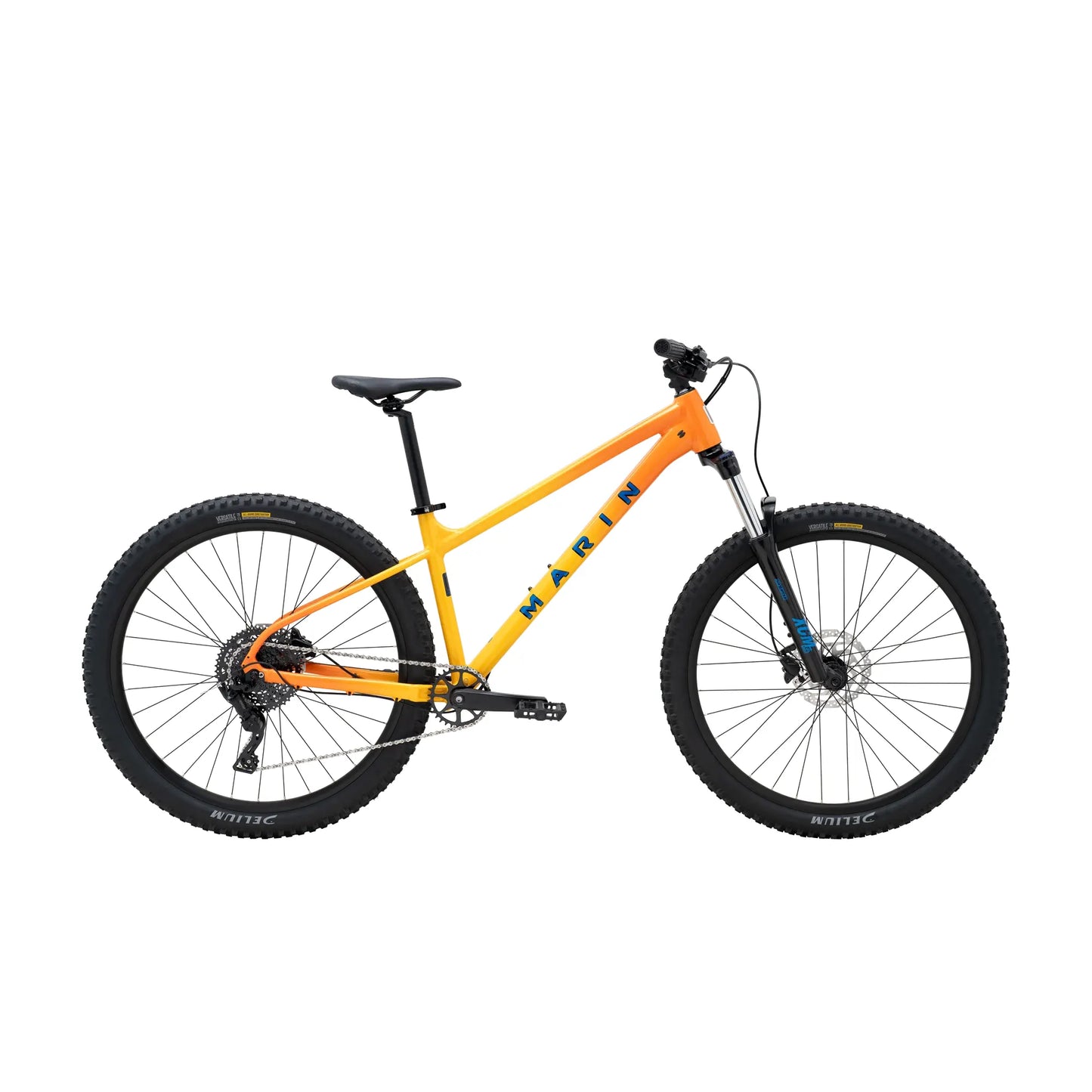 Marin San Quentin 1 - MetroCycle