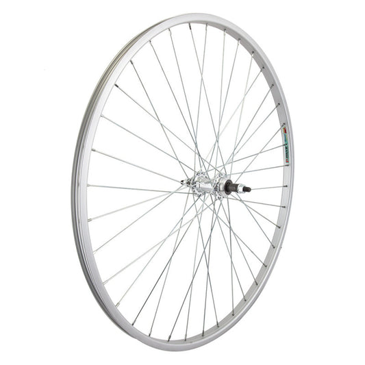 Wheel, Rear, 26" Freewheel - MetroCycle