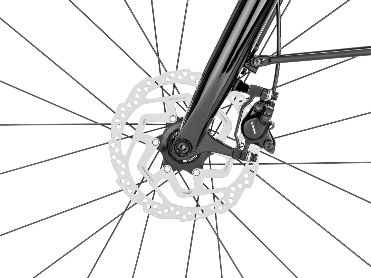 Moustache Dimanche 28 Urban - MetroCycle