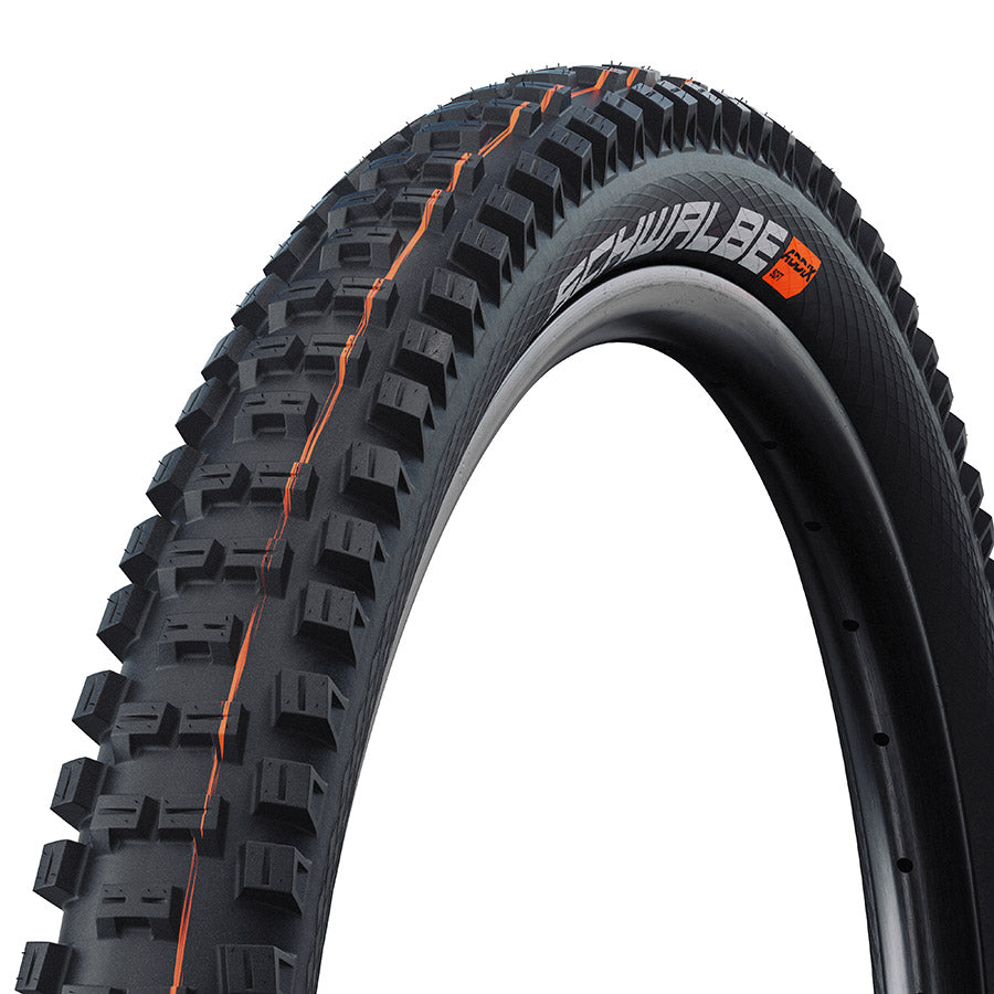 Schwalbe Big Betty mountain tire for 29-inch bikes, tubeless-ready with Addix Ultrasoft compound, black folding downhill tire