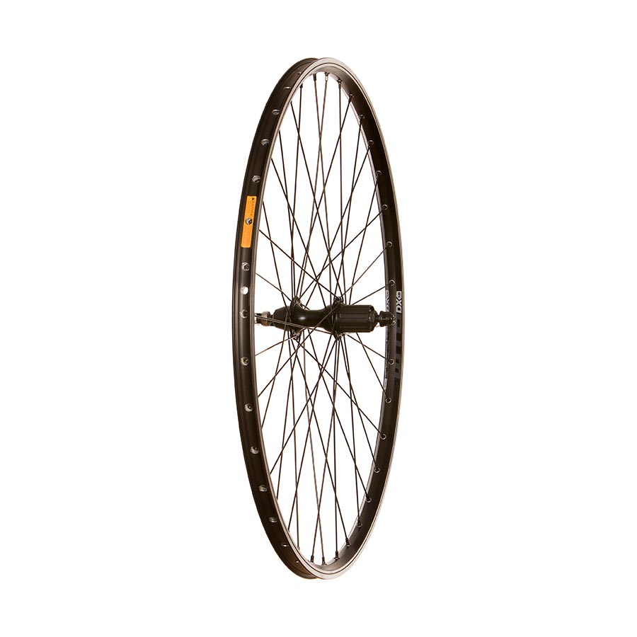 Front view of Wheel Shop WTB DX18 QR 700C wheel with 36 spokes, 100mm rim, and quick-release hub for 29-inch bikes.